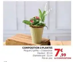 Super U Composition 2 Plantes offre