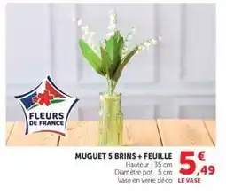 Super U MUGUET 5 BRINS + FEUILLE offre