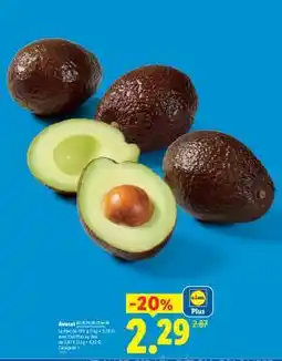 Lidl Avocat offre