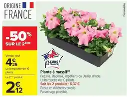 Carrefour Drive Plante à massif offre