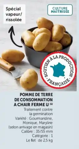 U Express Pomme de terre de consommation a chair ferme u offre