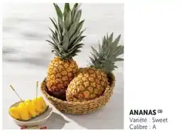 U Express Ananas offre