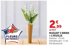 U Express Muguet 3 brins +1 feuille offre