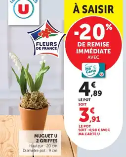 U Express Muguet u 2 griffes offre