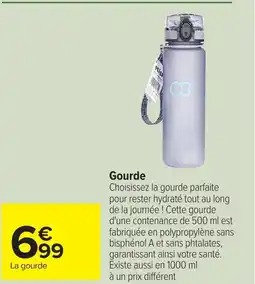 Carrefour Gourde offre