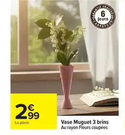 Carrefour Vase Muguet 3 brins offre