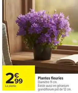 Carrefour Plantes fleuries offre