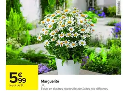 Carrefour Marguerite offre