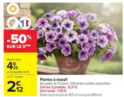 Carrefour Plantes à massif offre