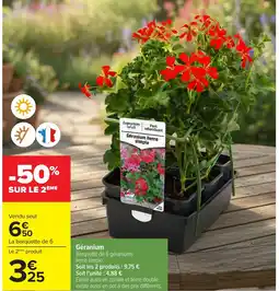 Carrefour Géranium offre