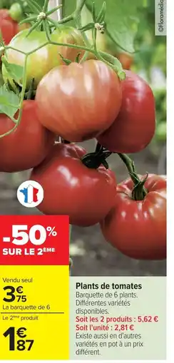 Carrefour Plants de tomates offre