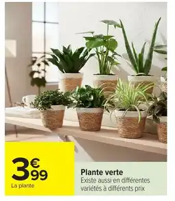 Carrefour Plante verte offre