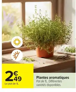 Carrefour Plantes aromatiques offre