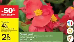 Carrefour Plantes à massif offre