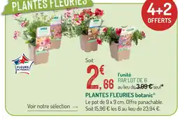 Botanic Plantes fleuries offre