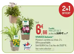Botanic Botanic vivaces offre