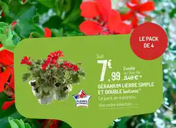 Botanic Botanic géranium lierre simple et double offre