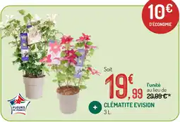 Botanic Clématite evision offre