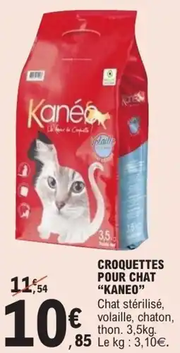 E.Leclerc Croquettes pour chat kaneo offre
