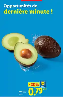 Lidl Lidl - avocat offre