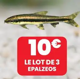 Animalis Le lot de 3 epalzeos offre