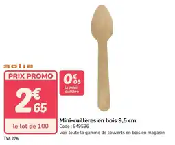 Promocash Mini-cuillères en bois offre