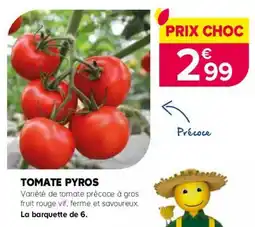 Kiriel Tomate pyros offre