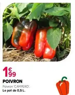 Kiriel Poivron offre