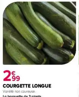 Kiriel Courgette longue offre