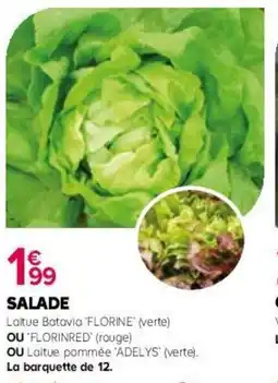 Kiriel Salade offre