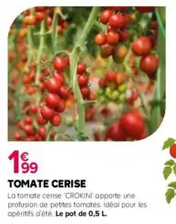 Kiriel Tomate cerise offre