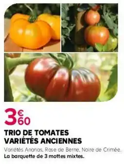 Kiriel Trio de tomates variétés anciennes offre