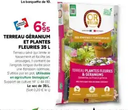 Kiriel Terreau géranium et plantes fleuries offre