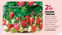 Kiriel Fraisier tristan offre