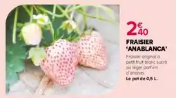 Kiriel Fraisier anablanca offre