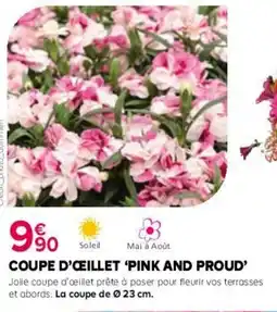Kiriel Coupe d'œillet pink and proud offre