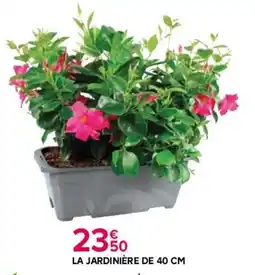 Kiriel La jardinière offre