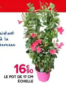 Kiriel Le pot échelle offre