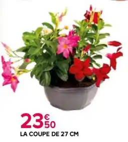 Kiriel La coupe offre