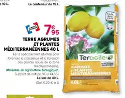 Kiriel Terre agrumes et plantes méditerranéennes offre