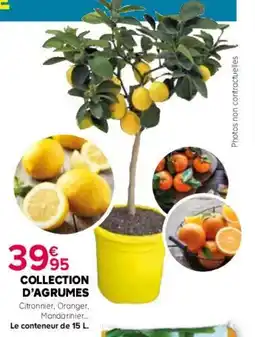 Kiriel Collection d'agrumes offre