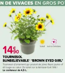 Kiriel Tournesol sunbelievable brown eyed girl offre