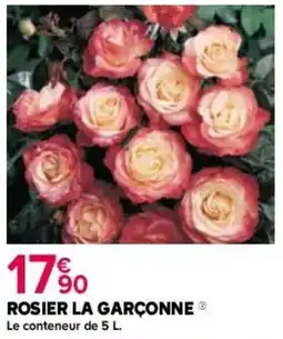 Kiriel Rosier la garçonne offre