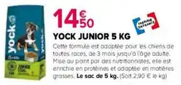 Kiriel Yock junior offre