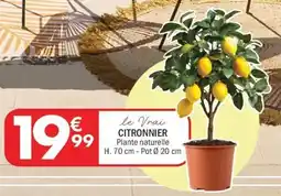La Foir'Fouille Citronnier offre
