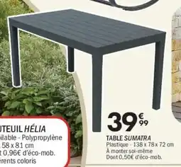 La Foir'Fouille Table sumatra offre