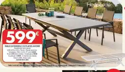 La Foir'Fouille Table extensible 10 places axiome offre