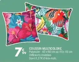 La Foir'Fouille Coussin multicolore offre