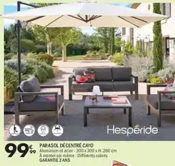 La Foir'Fouille Parasol décentré cayo offre