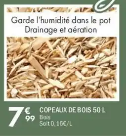 La Foir'Fouille Copeaux de bois offre